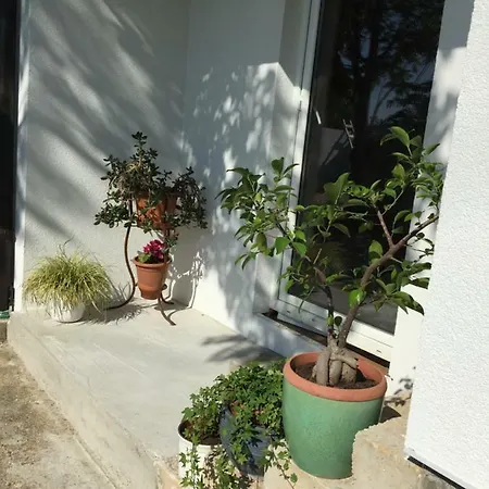 Apartman 
